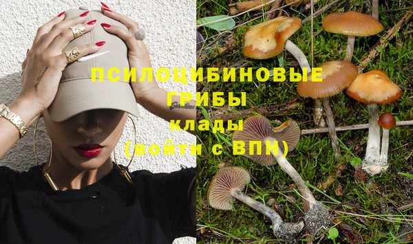 твердый Балахна