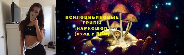 твердый Балахна