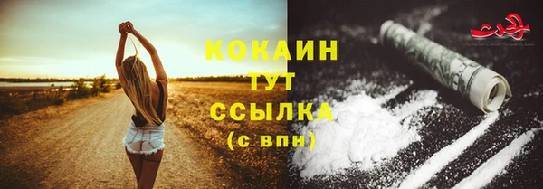 твердый Балахна