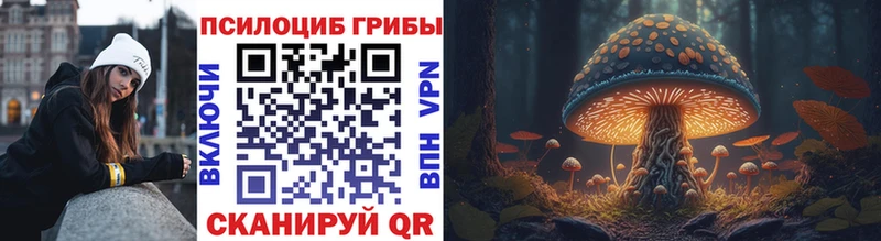 Купить где  Красноперекопск  Псилоцибиновые грибы MAGIC MUSHROOMS 